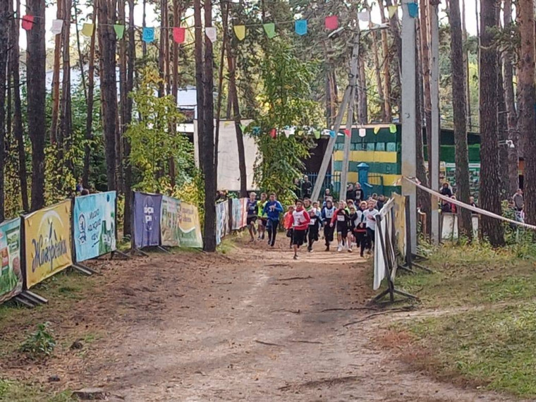 Недавно прошло первенство города по кроссу "Кросс нации"..